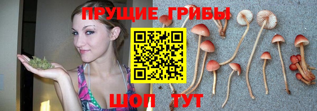 Галлюциногенные грибы GOLDEN TEACHER  Галлюциногенные грибы GOLDEN TEACHER  Вход с VPN  Гусь-Хрустальный 